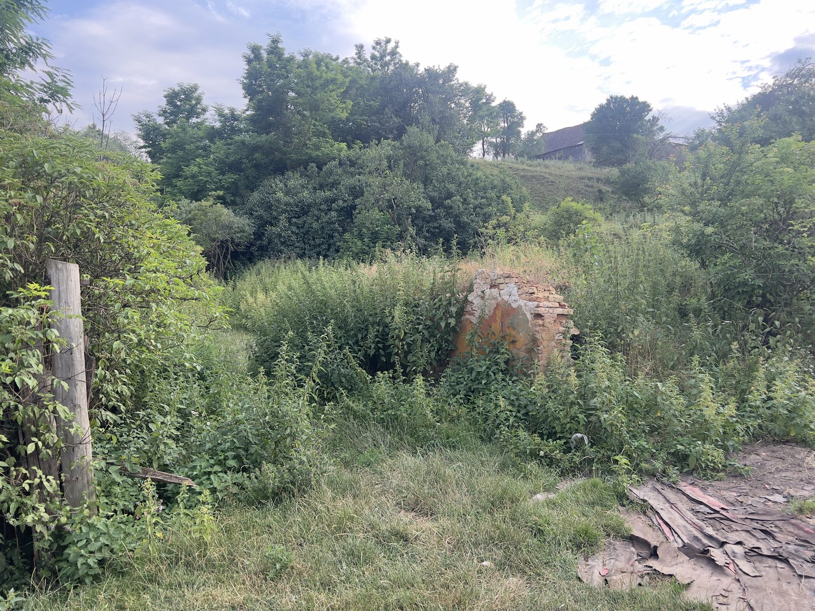 Movilă de vegetație care a fost o gospodărie — locul din imaginea satelitară de la începutul articolului