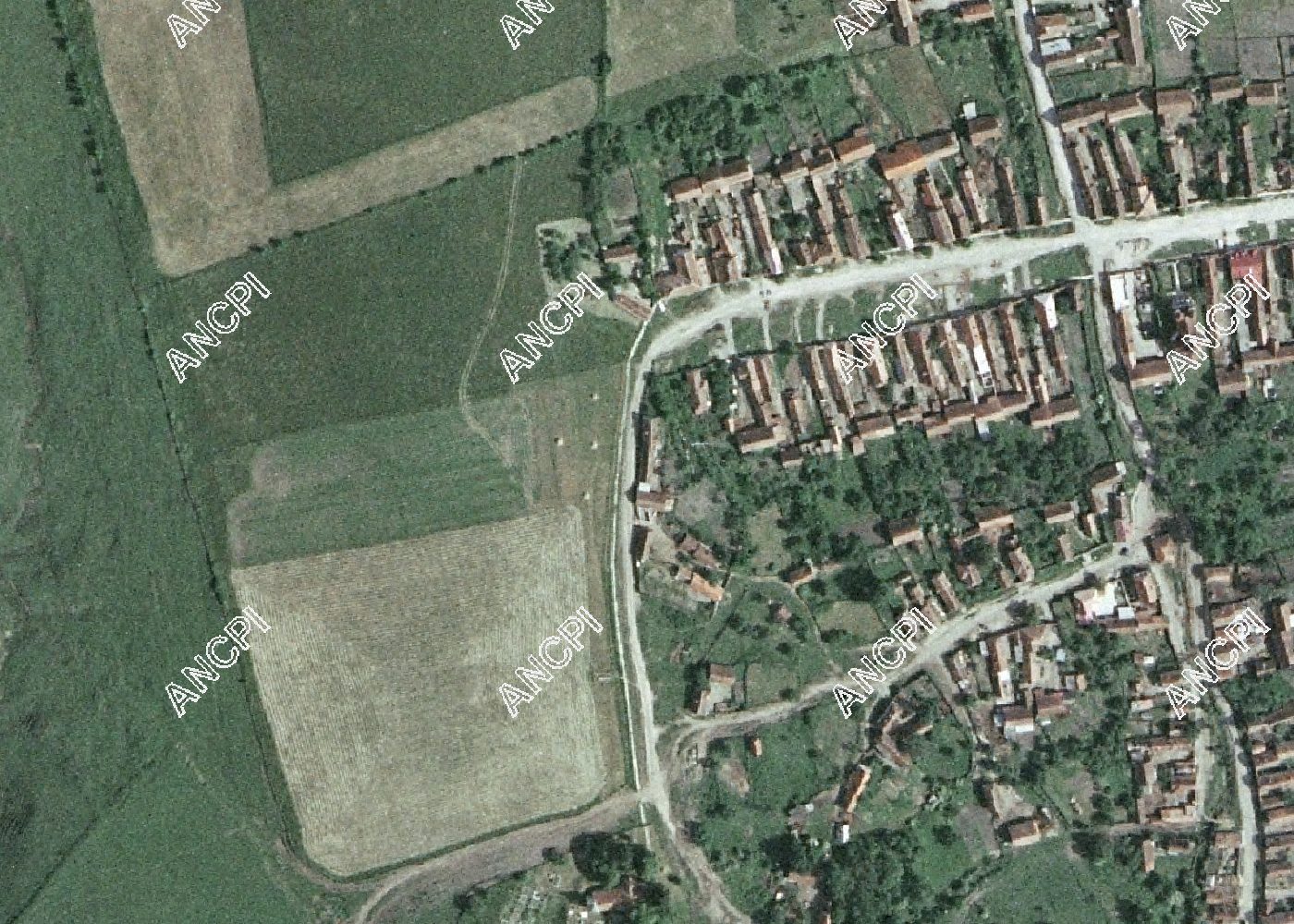 Dacia în 2005